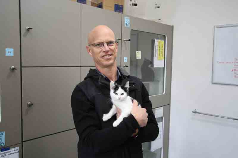 PURFECT NEW FRIEND... Adoption fees on cats and kittens have been reduced to help more felines find their forever home. Paul Dainton, Council’s acting manager environment pictured with a kitten. Photo: Deanne Jeffers.