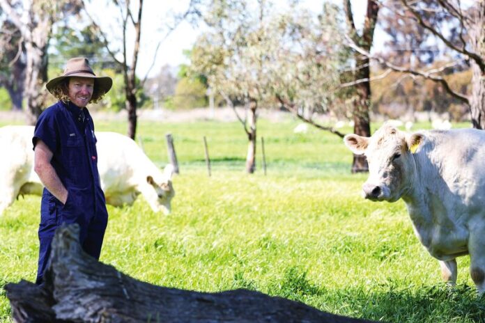 FROM BACKYARD TO BARNYARD...The team at GV Vets are committed to a holistic healthcare model that ensures whole-animal care is prioritised. They strive to offer the highest quality of care and support for both family pets and farm animals in this region and offer onsite, home and farm visits to aid their scope of care. Pictured is GV Vets co-owner Dr Brett Davis. Photo: Kelly Carmody